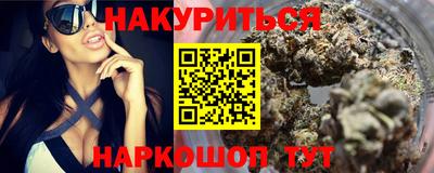 индика Кингисепп