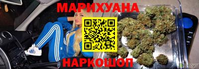 индика Кингисепп