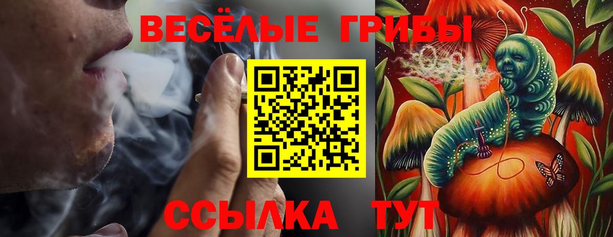Ижевск  где можно купить   Псилоцибиновые грибы Cubensis  Вход с VPN  Псилоцибиновые грибы Magic Shrooms 