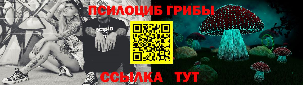 Псилоцибиновые грибы Cubensis Ижевск